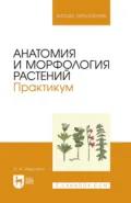 Анатомия и морфология растений. Практикум. Учебное пособие для вузов. 3-е издание, исправленное и дополненное - О. И. Недосеко