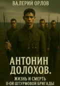 Антонин Долохов. Жизнь и смерть второй штурмовой бригады - Валерий Орлов