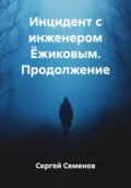 Инцидент с инженером Ёжиковым. Продолжение - Сергей Семенов