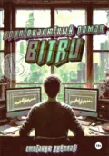 Криптовалютный роман – Bitru - Николай Михайлович Сметанин
