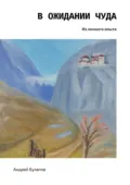 В ожидании чуда. Из личного опыта - Андрей Булатов