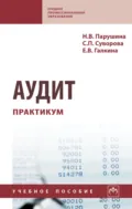 Аудит: практикум - Наталья Валерьевна Парушина