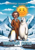 Северный город. Сказка-раскраска в стихах в стиле северной трофимстрофы - Александр Трофимов