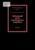 Звёздный путь маленького воробья. Сказка - Никита Романович Бердов
