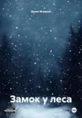 Замок у леса - Денис Александрович Игумнов