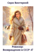 Ревизор: возвращение в СССР 47 - Серж Винтеркей