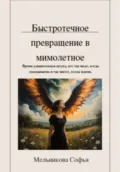 Быстротечное превращение в мимолётное - Софья Игоревна Мельникова