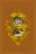 Барсетширские хроники: Доктор Торн - Энтони Троллоп