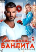 Снежинка для бандита. Вызывали? - Юлия Михайловна Герман