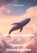 Предположения о Природе Шизофрении - Владимир Владимирович Романов