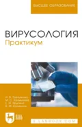 Вирусология. Практикум. Учебное пособие для вузов. 5-е издание, стереотипное - Марина Калмыкова
