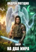 Амур: на два мира - Андрей Геннадьевич Погудин