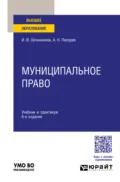 Муниципальное право 6-е изд., пер. и доп. Учебник и практикум для вузов - Александр Николаевич Писарев