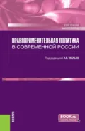 Правоприменительная политика в современной России. (Аспирантура, Бакалавриат, Магистратура). Курс лекций. - Александр Васильевич Малько