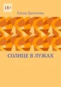 Солнце в лужах - Елена Данилова