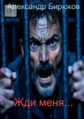 Жди меня - Александр Бирюков