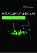 Метасимпатическая нервная система - Петр Михайлович Маслюков