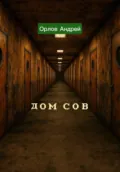 Дом сов - Орлов Андрей