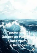 Трилогии «От Застоя до Настроя» Книга третья «Настрой» - Александр Леонидович Миронов