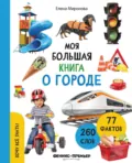 Моя большая книга о городе - Елена Миронова