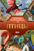 Птицы. Иллюстрированный гид - А. А. Спектор