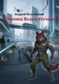 Хроники Волка: Начало - Андрей Волк-Белый