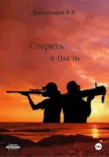 Стереть в пыль - Виктор Владимирович Виноградов