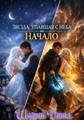 Звезда, упавшая с неба: Начало - Шадрин Борисович Данил