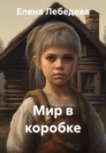 Мир в коробке - Елена Лебедева