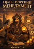 Практический менеджмент (Проповеди городского шамана об управлении) - Сергей Филин