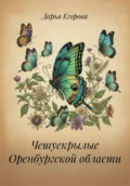 Чешуекрылые Оренбургской области - Дарья Егорова