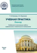 Учебная практика (пленэр). Особенности организации работы графическими и живописными материалами - Е. В. Воронина