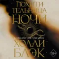 Похитительница Ночи - Холли Блэк