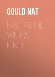 Fast as the Wind: A Novel