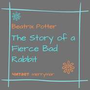 The Story of a Fierce Bad Rabbit