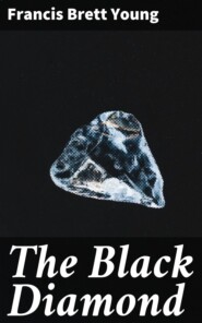 The Black Diamond