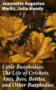 Little Busybodies: The Life of Crickets, Ants, Bees, Beetles, and Other Busybodies