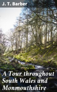 A Tour throughout South Wales and Monmouthshire