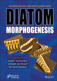 Diatom Morphogenesis