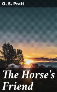 The Horse\'s Friend