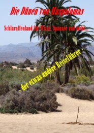 Die Dünen von Maspalomas. Schlaraffenland für Wixer, Spanner und mehr...