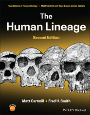 The Human Lineage