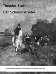 Der Schimmelreiter