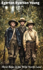 Three Boys in the Wild North Land