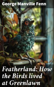 Featherland: How the Birds lived at Greenlawn