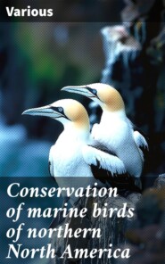 Conservation of marine birds of northern North America