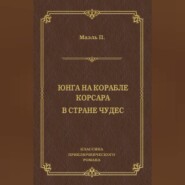 Юнга на корабле корсара. В стране чудес