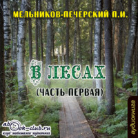 Павел Мельников-Печерский. В лесах (часть первая)