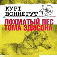 Лохматый пес Тома Эдисона