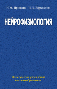 Нейрофизиология
